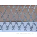 Y Shape Wire Mesh FenceRazor Barbed Wire